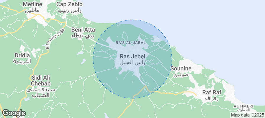 Discover Ras Jebel Airbnb Analytics